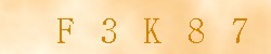 Kontrolní kód